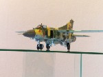 MiG-23(MF)002.JPG
DCIM\100MEDIA
63,63 KB 
1024 x 768 
17.10.2009
